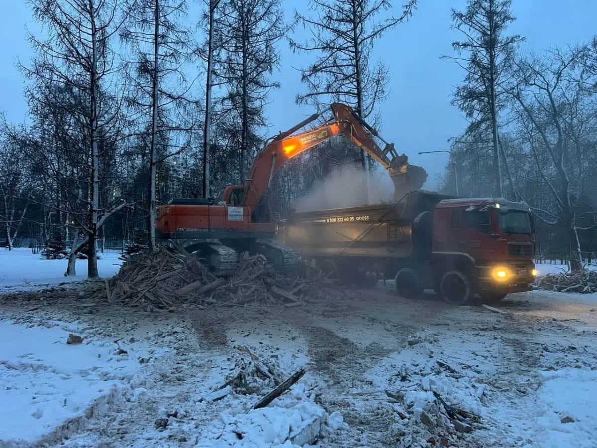 Вывоз и утилизация мусора — фото работ 3 — Москва и МО — Спецустройство