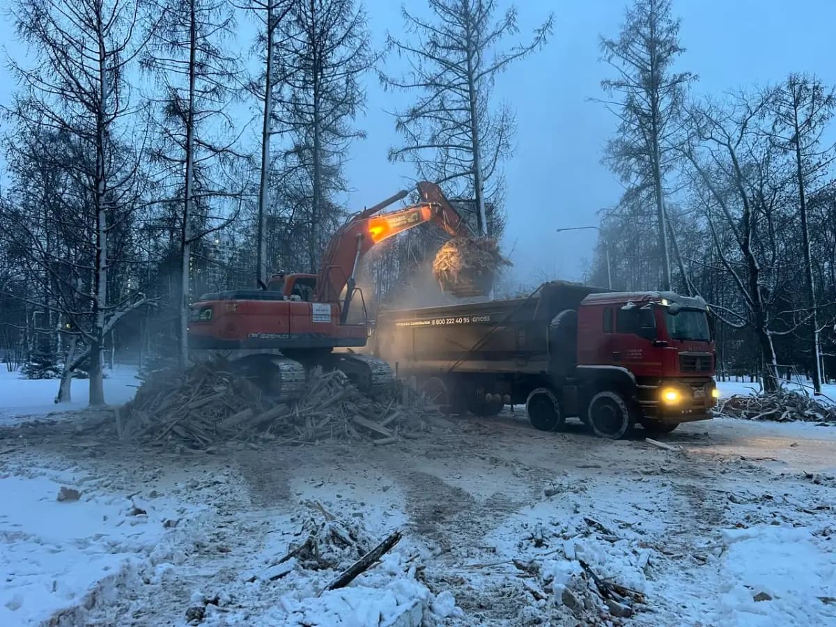 Вывоз снега — фото работ 4 — Москва и МО — Спецустройство
