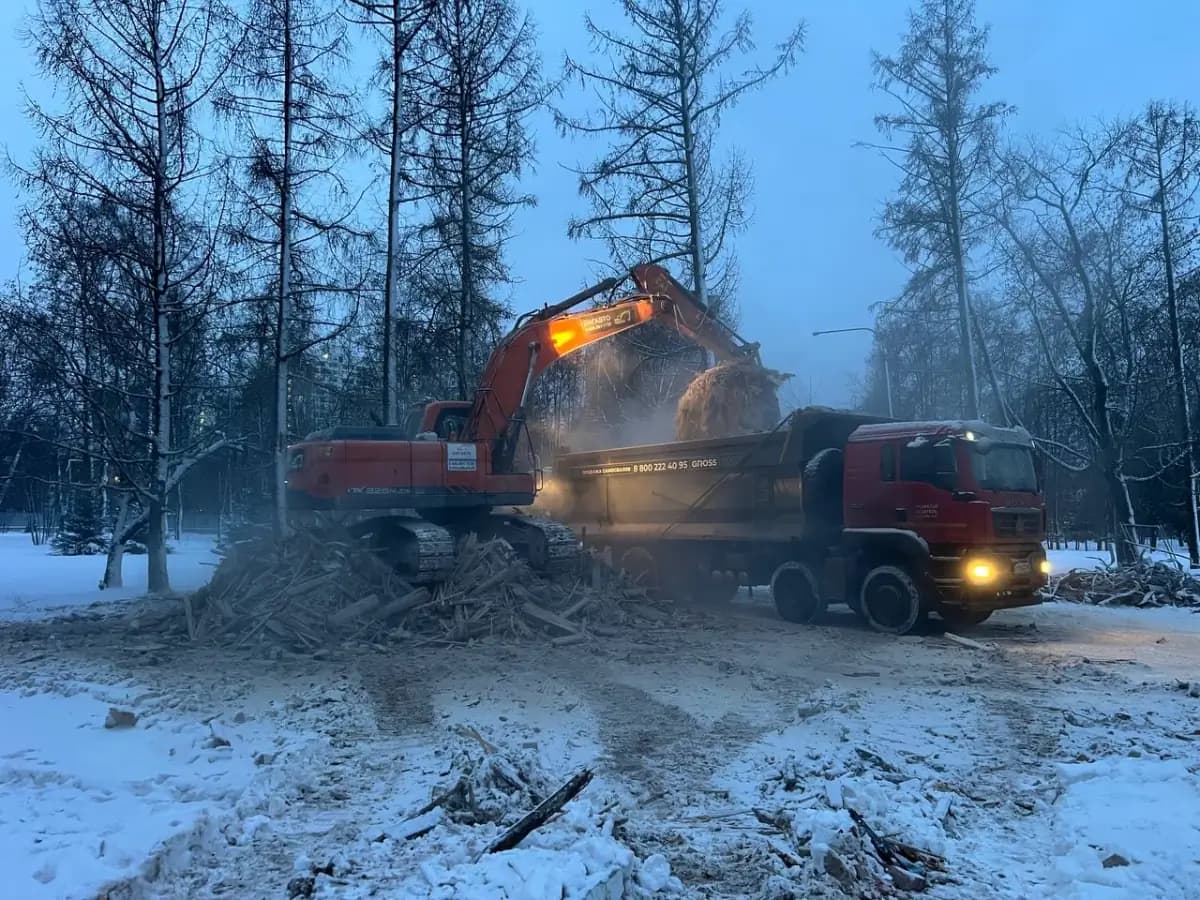 Вывоз снега — фото работ 5 — Москва и МО — Спецустройство